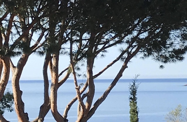 Apartment t2 type maisonette with garden sea view