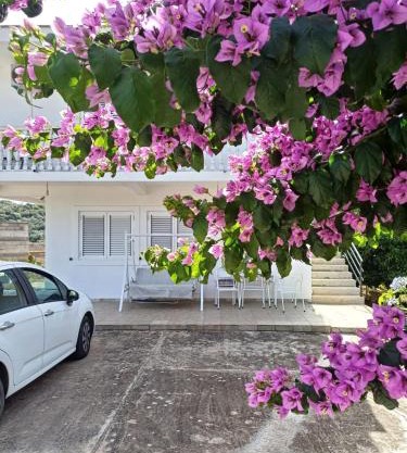 Apartments Ivana