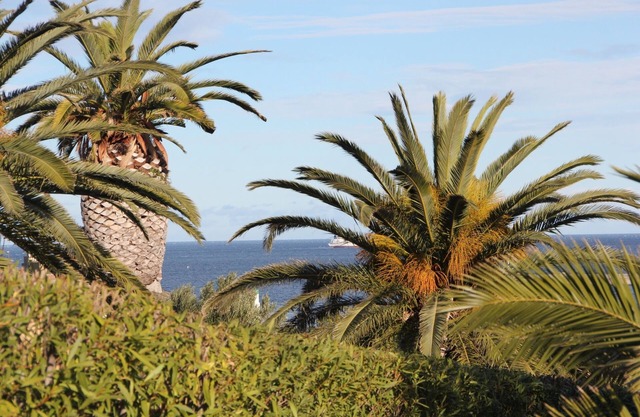 APPART T3 of 55 m2 SEA VIEW 2 BED 2/4/6 PERS, VERANDA, WIFI, GARAGE, 200 m FROM THE PORT