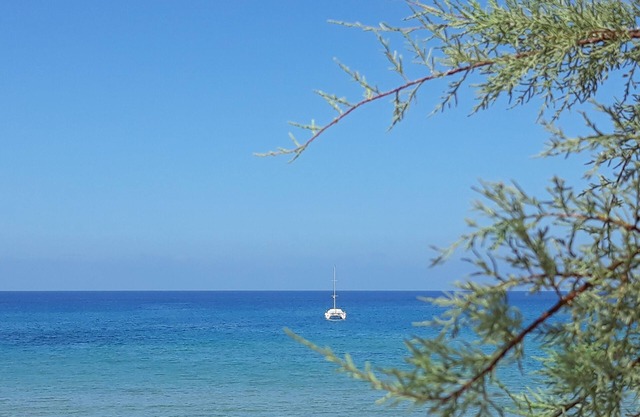 Appartamento con Bellissima Vista Mare (IUN P5019)