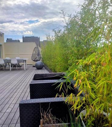 Appartement attique Strasbourg