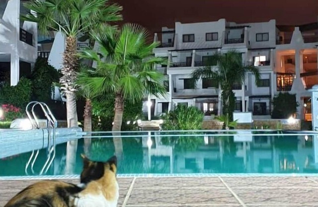 Appartement Contemporain et Chic
