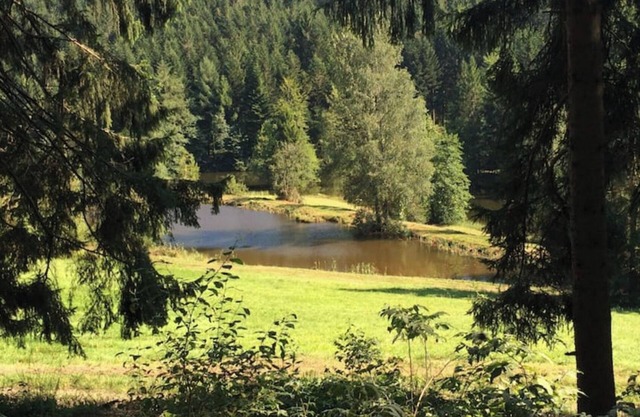 Appartement Cosy en Pleine Nature Vosgienne