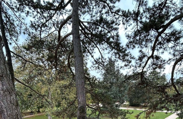 Appartement Jolie vue Wifi