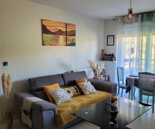 Appartement pechDavid SUD