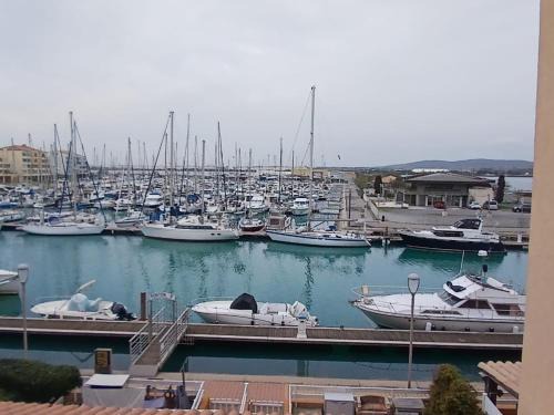 Appartement T2 Frontignan-Plage, 6 pers, vue port, parking inclus - FR-1-785-17