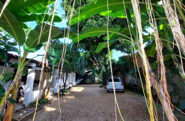 Apto Arvorizado Em Palmas