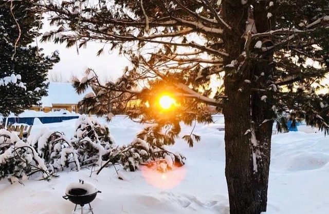 Arctic Resort Delight