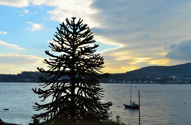 Ardmun House - waterfront villa that sleeps 6 guests in 4 bedrooms