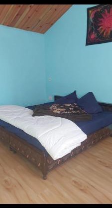 Area 51 cafe and farmstay kasol