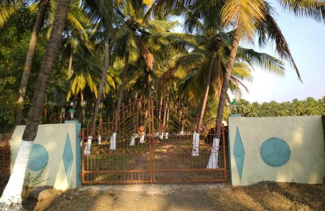 Arecapalm, Murud