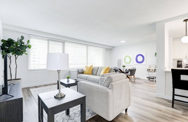 Arlington Modern Comfort Meets City Life