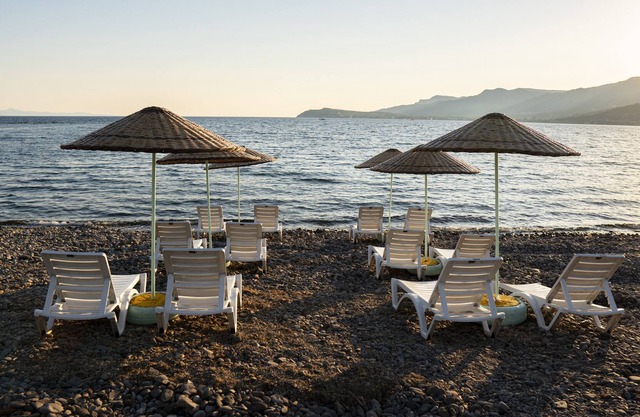 Assos Anemoia