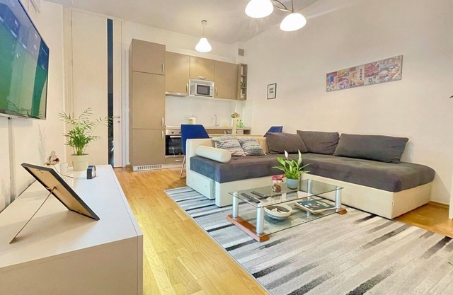 Attractive apartment in the very center of the city with free parking