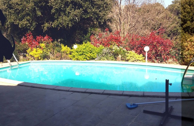 au bord de la piscine,jardin confort