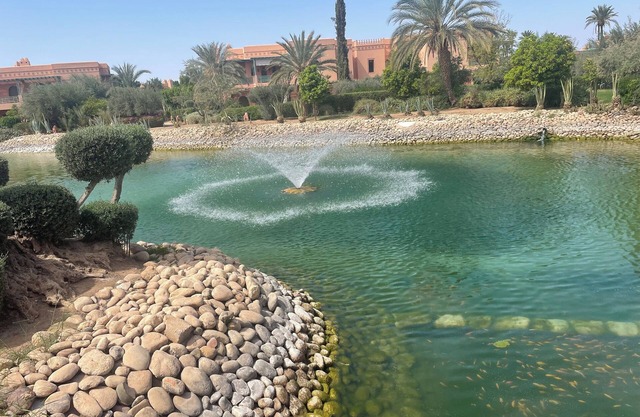 Au Coeur De La Palmeraie De Marrakech