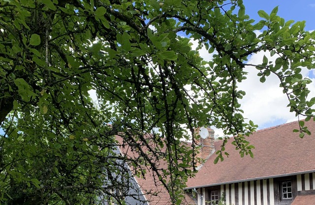 Au Milieu de la Nature, une Maison de Caractère Vous Attends