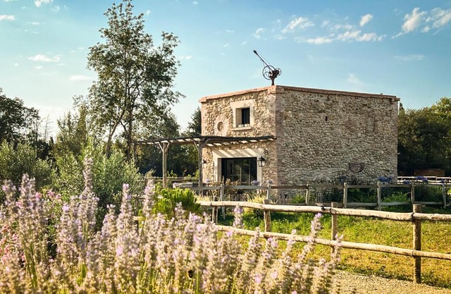 au milieu des vignes
