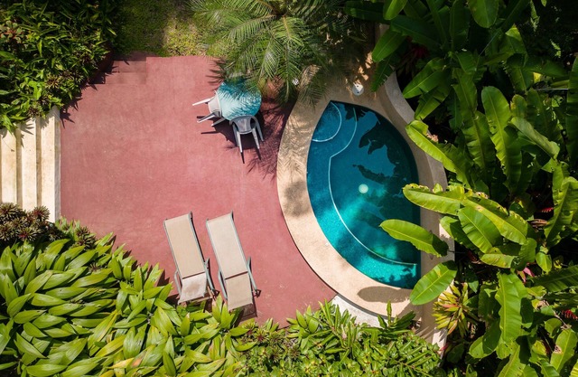 Authentic deluxe rainforest experience in a villa with private plunge pool