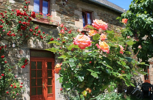 Authentic Norman farmhouse, peaceful with garden, pets allowed