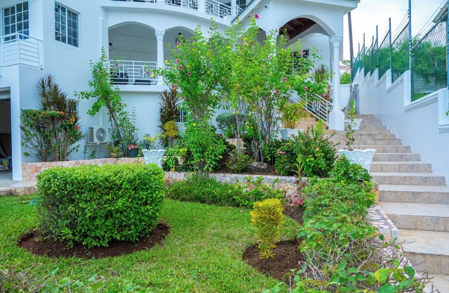 Awaii Jamaica