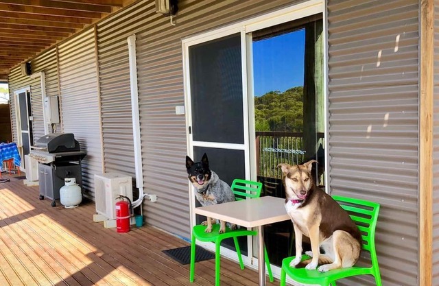 Award Winning, Pet Friendly Accommodation