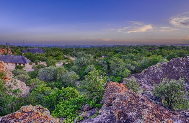 Awelani Lodge