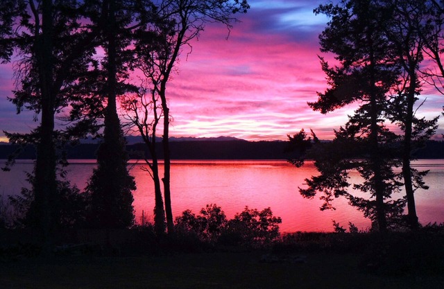 Awesome sunsets, firepit, hot tub, big fenced lawn, crab boat, crab pots, buoy!