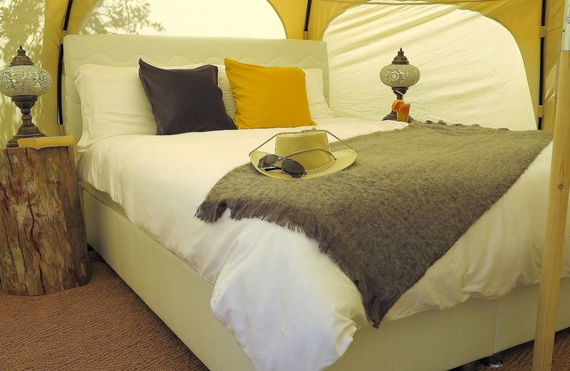 Azure Wellness Retreat - Adults Only