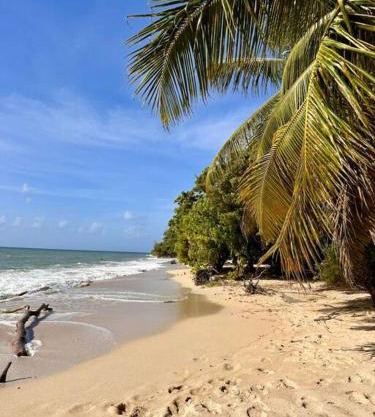 Bambou Suite vue mer à 50 m de la plage et de la piscine