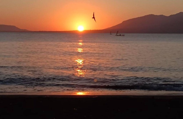 Banyuwangi Sunrise Homestay