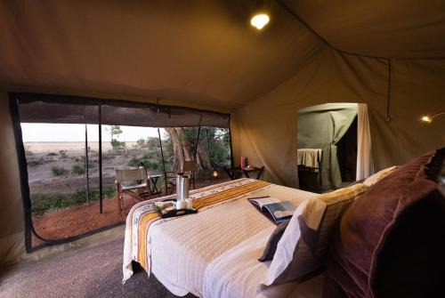 Basecamp Adventure