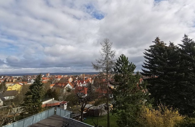 Baumhaus Abgehoben - Baumhaus und Loungehaus Übernachtung - Roland Barche