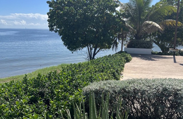 Bayfront Apartment & villa