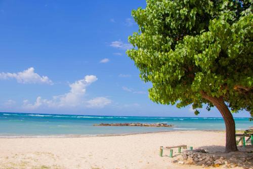Beach Dreams at Seacastles