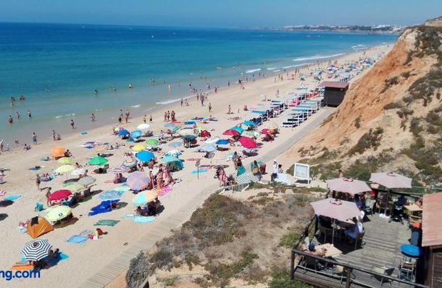 Beach Falésia Alfamar