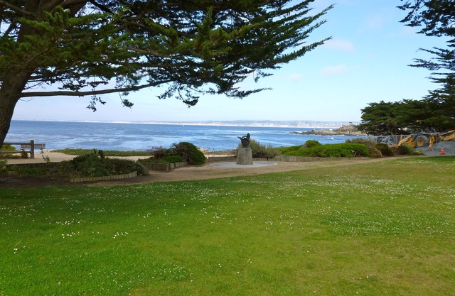 Beach front spacious condo/walk everywhere. downtown, beaches, parks, sights