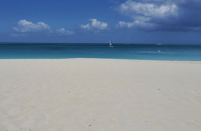 Beach Monkeys Retreat! “Newly Renovated"