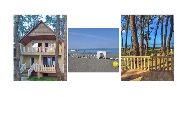 Beach View House