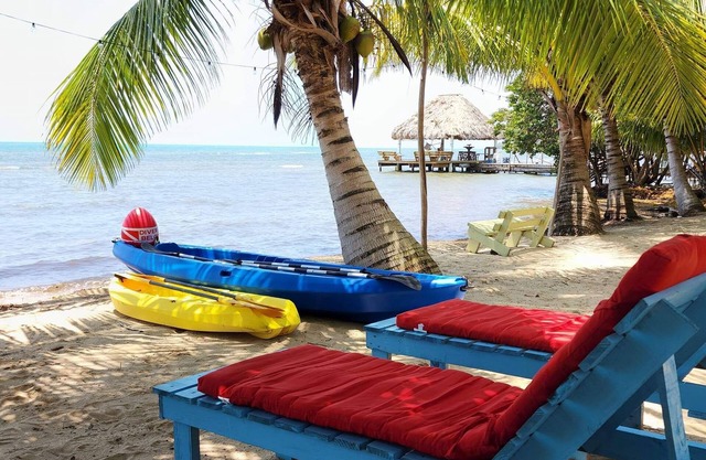 Beachfront surrounded by lush natural jungle. Snorkle from shore manatee watch