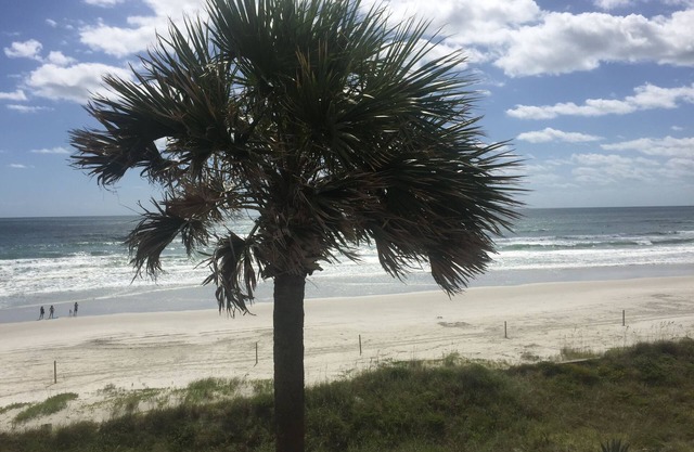 Beachfront. Sept. Just opened due to cancellation.nn