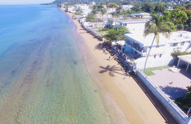 ★Beachfront★ Snorkel in Backyard/Walk to Beach Bars/Free Laundry/Bedroom AC