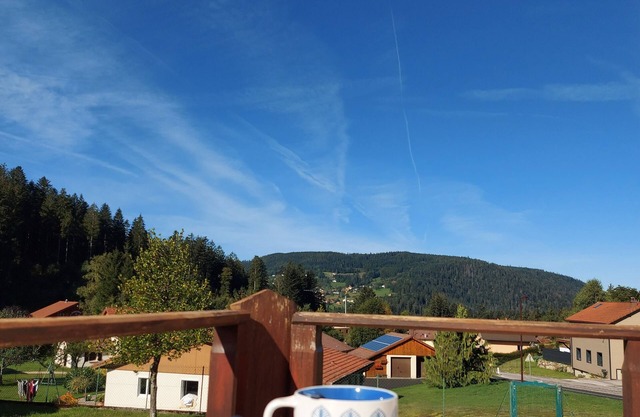 Beautiful apartment in a Vosges farmhouse
