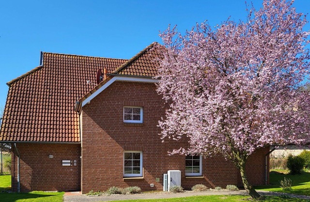 Beautiful apartment for 4 guests with WIFI, TV, balcony and pets allowed