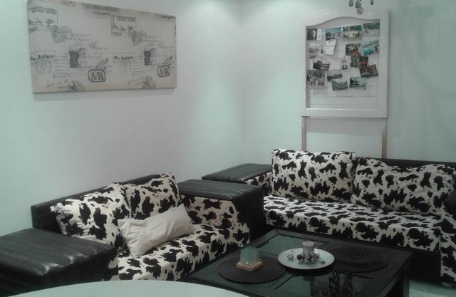Beautiful apartment richly furnished in pleasant residence
