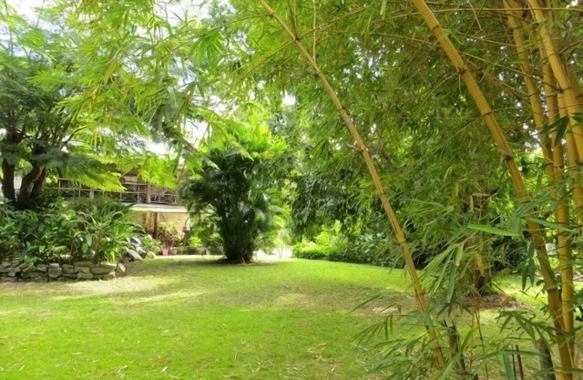 Beautiful Eco friendly, Vegetarian Apartment