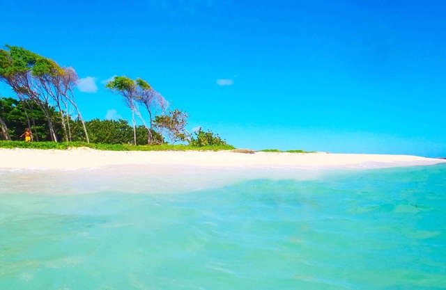 BEAUTIFUL FURNISHED TOURISTIC (T3 DAUPHIN), QUIET IN THE SOUTH NEAR THE BEACHES BEAUTIFUL