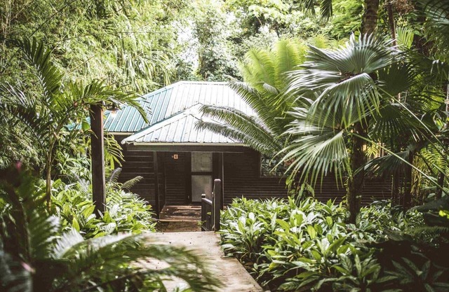 Beautiful Lodge Suite with Balcony, Jungle Views, and Two Queen Beds