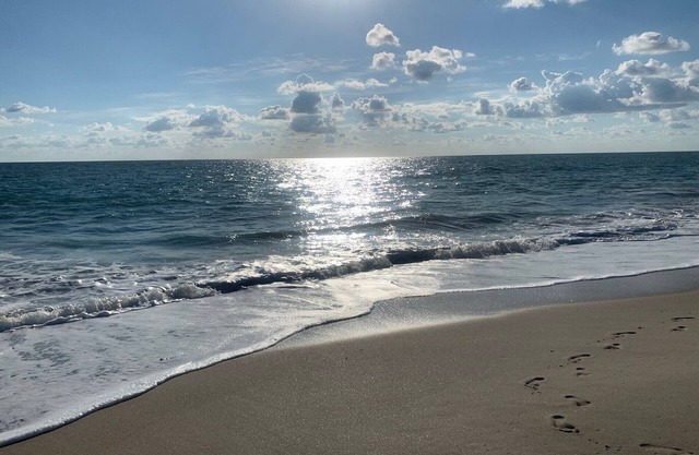 Beautiful marina views, manatees and private beach in the Moorings of Vero!