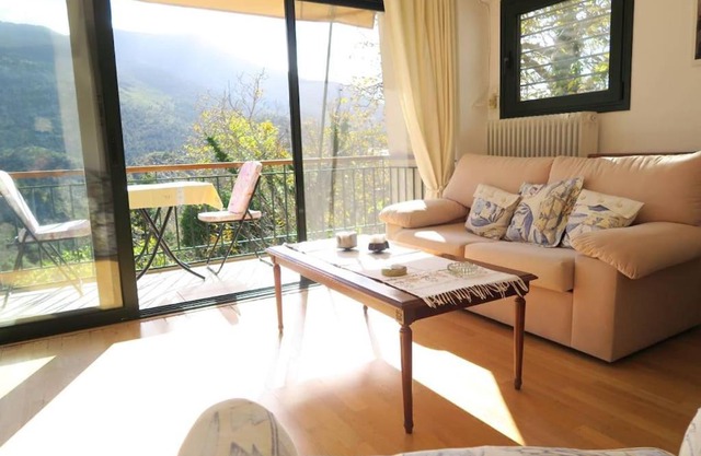 Beautiful mountain view house with fireplace